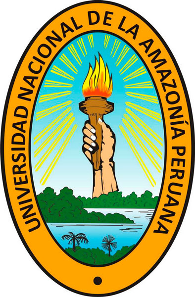 Logo Unap